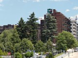 Daylight samples, telephoto camera (6x) - 142mm, f/2.4, ISO 144, 1/605s (4096x3072px) - Motorola Razr Fold review