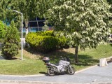 Daylight samples, telephoto camera (7x) - 170mm, f/2.8, ISO 64, 1/538s (4096x3072px) - Oppo Reno16 review